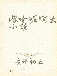 嗯哈呃啊太大了小说