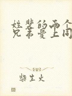 姓裴的两个豪门兄弟爱上同一个女人豪门小说