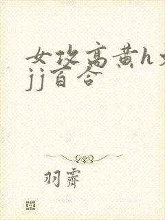 女攻高黄h文有jj百合