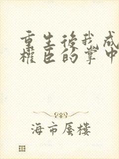 重生后我成为了权臣的掌中娇