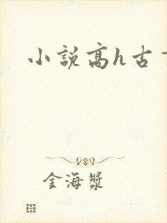 小说高h古言