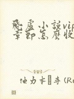 飞卢小说vip章节怎么收费