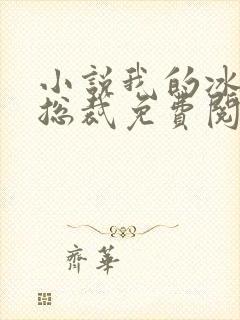 小说我的冰山女总裁免费阅读