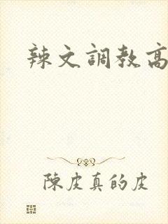 辣文调教高h