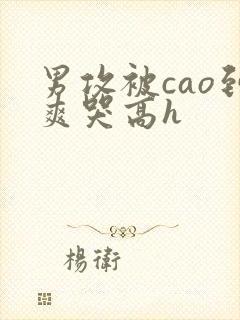 男攻被cao到爽哭高h封面