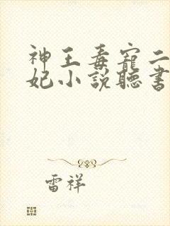 神王毒宠二嫁王妃小说听书