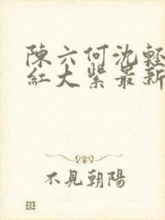 陈六何沈轻舞大红大紫最新笔趣阁