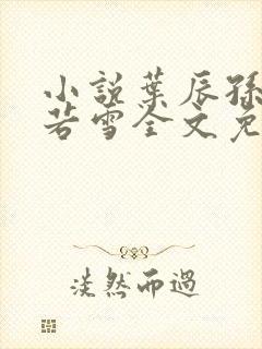 小说叶辰孙怡夏若雪全文免费阅读封面