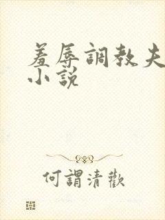 羞辱调教夫妻奴小说