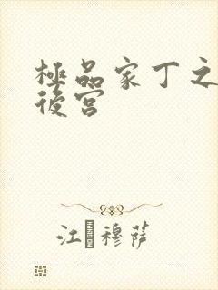 极品家丁之风流后宫