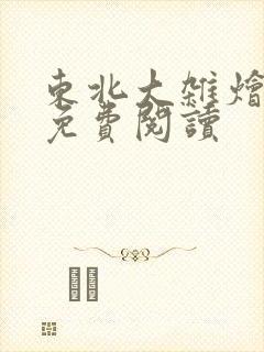 东北大杂烩小说免费阅读