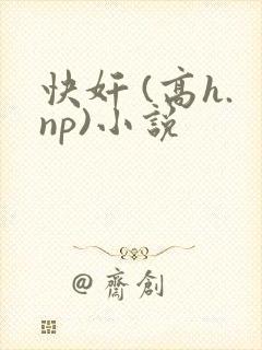 快奸 (高h.np)小说