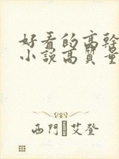 好看的高干言情小说高质量文笔好封面