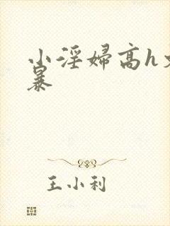 小淫妇高h文黄暴封面