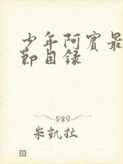 少年阿宾最新章节目录封面