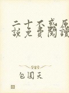 二十不惑原著小说免费阅读