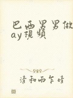 巴西男男做爰gay视频