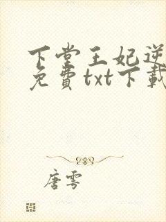 下堂王妃逆袭记免费txt下载