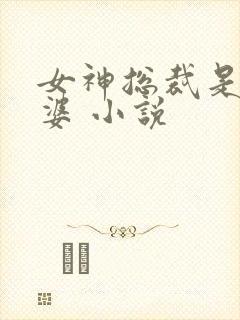 女神总裁是我老婆 小说