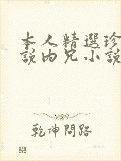 本人精选珍藏小说内兄小说免费阅读封面