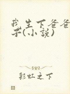 我生下爸爸的孩子(小说)