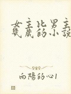 女主比男主大十几岁的小说