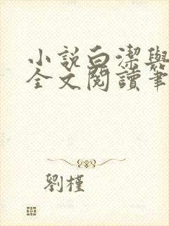 小说白洁与高义全文阅读笔趣阁下载封面