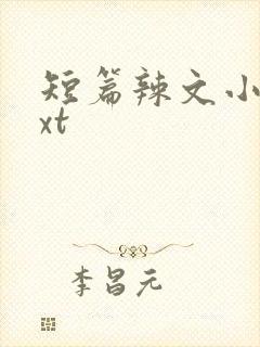 短篇辣文小说txt