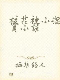 校花被小混混欺负小说封面