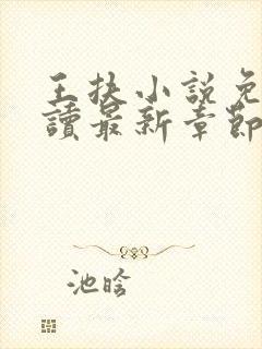 王扶小说免费阅读最新章节无弹窗