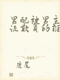 男配被男主们轮流欺负的推荐理由