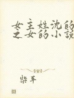 女主姓沈的丞相之女的小说