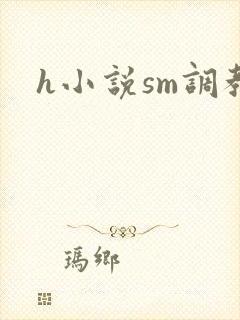 h小说sm调教封面