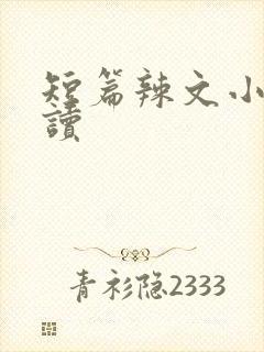 短篇辣文小说阅读