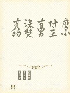 有没有什么好看的双男主小说推荐