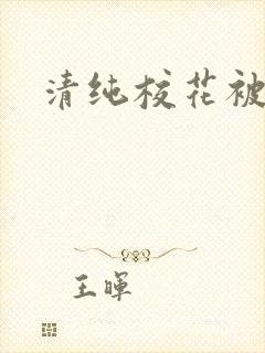 清纯校花被民工封面