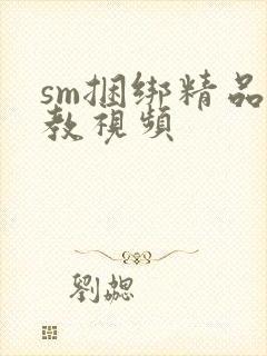 sm捆绑精品调教视频