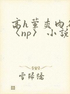 高h荤爽肉欲文〈np〉 小说