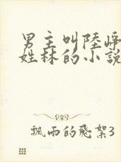 男主叫陆峥女主姓林的小说