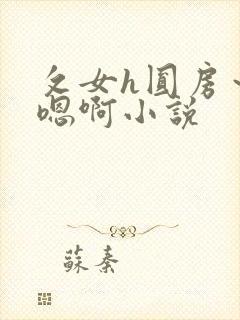 攵女h圆房～h嗯啊小说