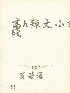 高h辣文小说在线