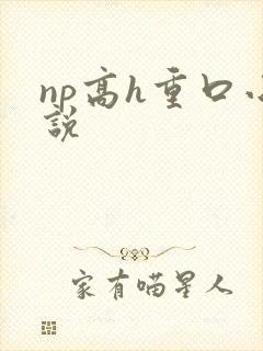 np高h重口小说