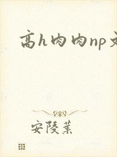 高h肉肉np文