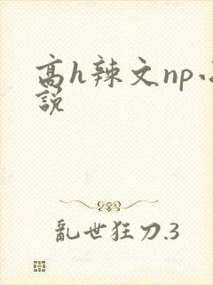 高h辣文np小说
