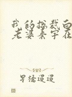 我的总裁白富美老婆秦宇在线阅读小说