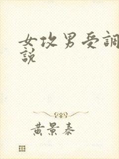 女攻男受调教小说