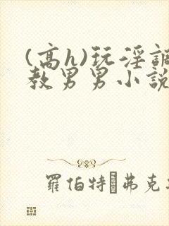 (高h)玩淫调教男男小说