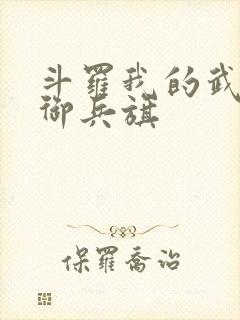 斗罗我的武魂是御兵旗