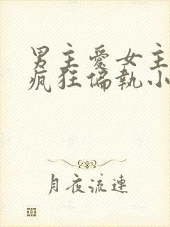 男主爱女主爱到疯狂偏执小说