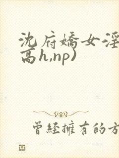 沈府娇女淫史(高h,np)